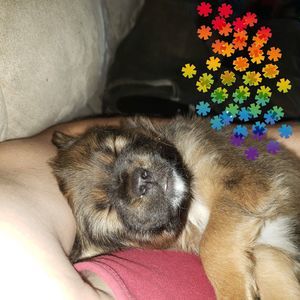 Meet your Posher, Austin